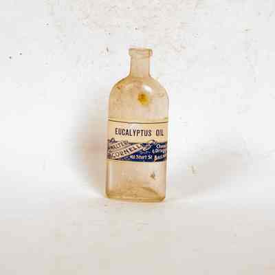 Bottle