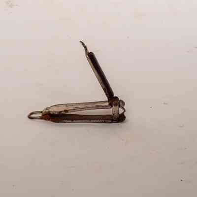 Nail Cutter