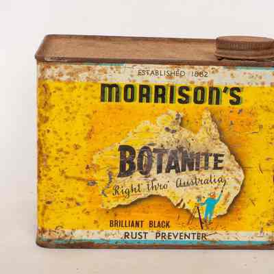 Morrison's Botanite