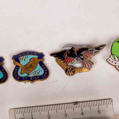 Badges