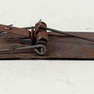Metal Mousetrap