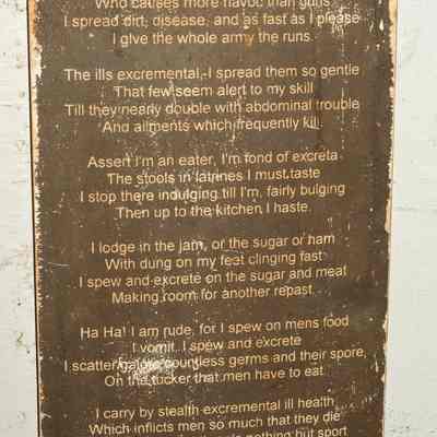 Cardboard