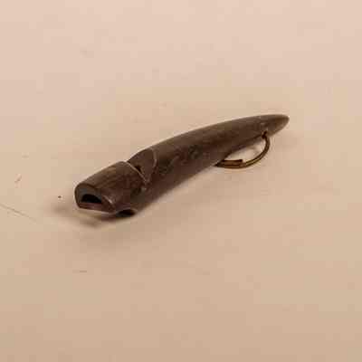 Whistle