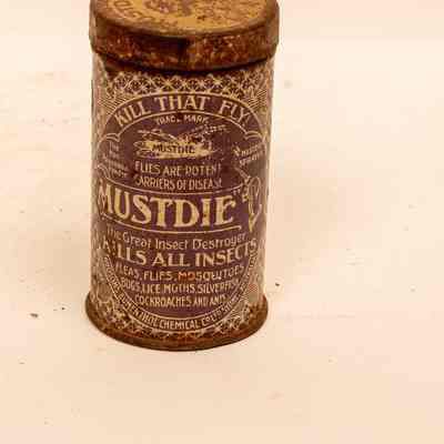 Tin