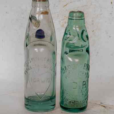 Bottle