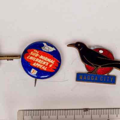 Badges