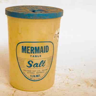 Salt container