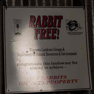 Tin Sign, Rabbit Free