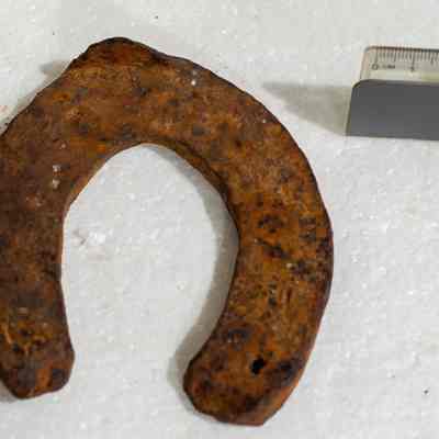 Horse Shoe