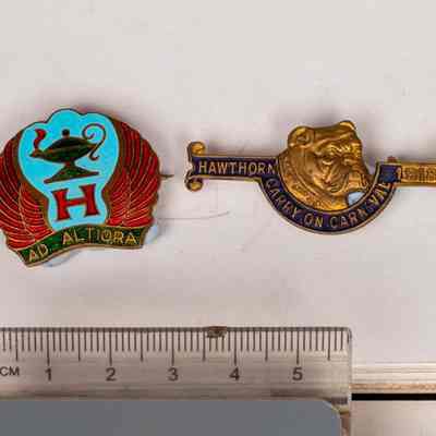 Badges