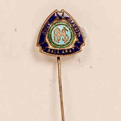 Enamel Badge