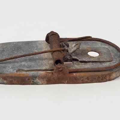 Metal Mousetrap