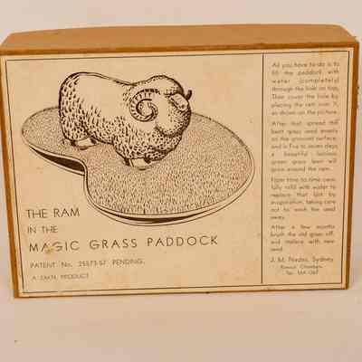 Cardboard Box