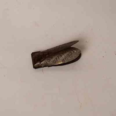 Tin Clicker Beetle