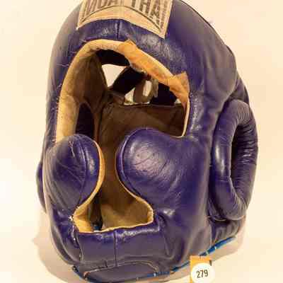 Pair of head protector for boxing