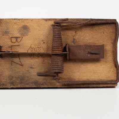 Wooden rat trap