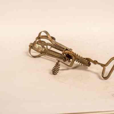 Kitchen Whisk