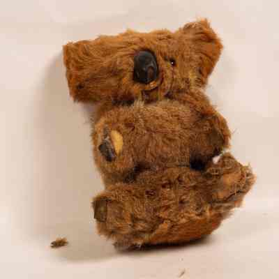 Toy bear