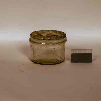 Preserving Jar