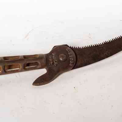 Pruning Saw