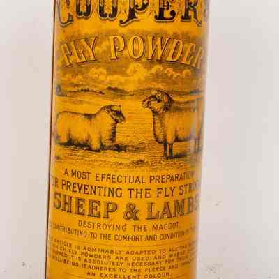 Cooper's fly powder