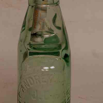 Bottle