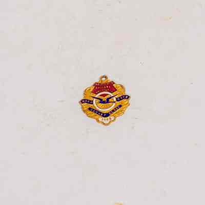 Enamel Badge