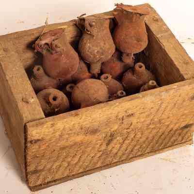 Box of oilers