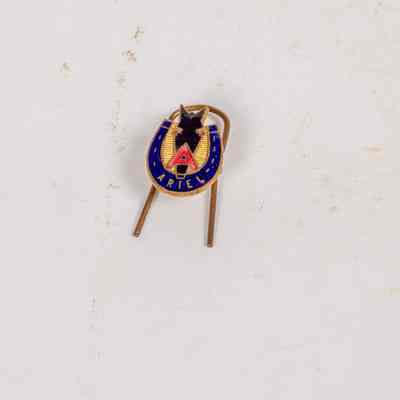 Motorcycle Badge