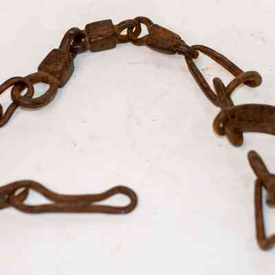 Camel shackles