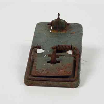 Metal Mousetrap