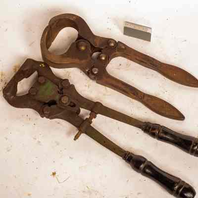 Farriers Hoof Trimmer