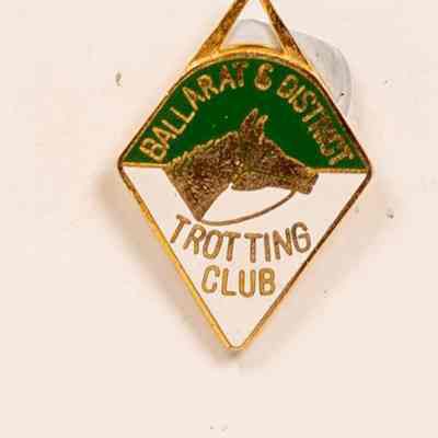 Enamel Badge