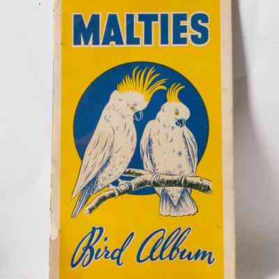 Cards