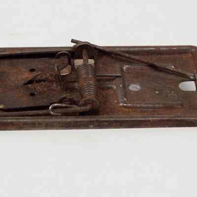 Metal Mousetrap