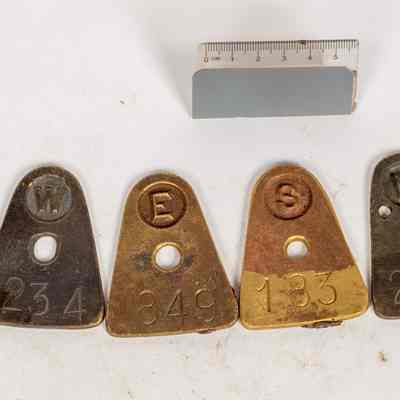 Common Tags