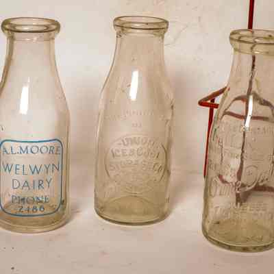 Bottle