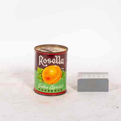 Tin money box