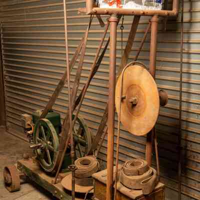 Shearing plant