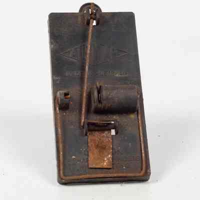 Plastic Mousetrap