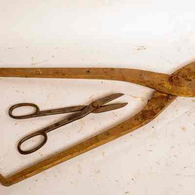 Tin Shears