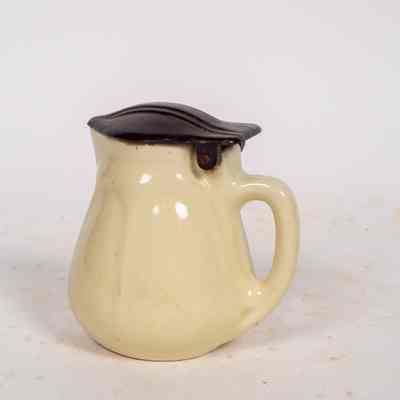 Electric jug sample