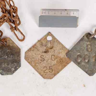 Common Tags