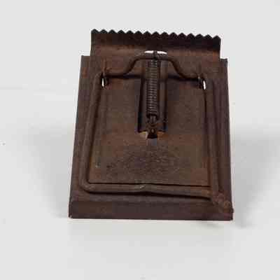 Metal Mousetrap