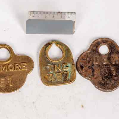 Common Tags