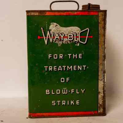 Blowfly treatment