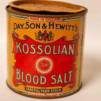 Blood Salt