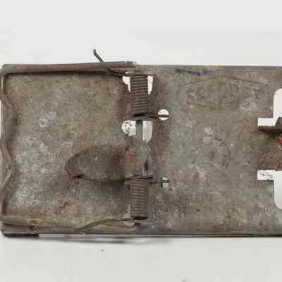 Metal Mousetrap