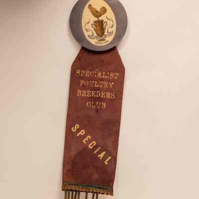 Prize ribbon
