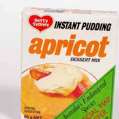 Instant pudding